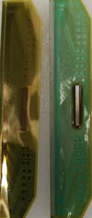 SW81100-C1LS