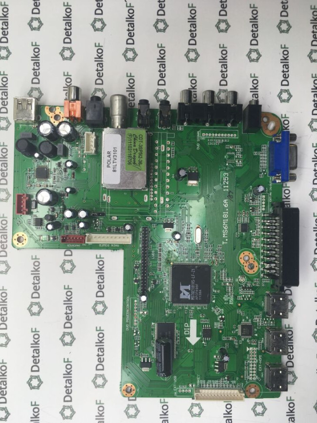 T.MS6M181.6A 11253 Polar 81LTV3101