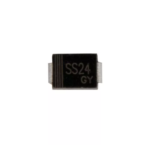 SS24